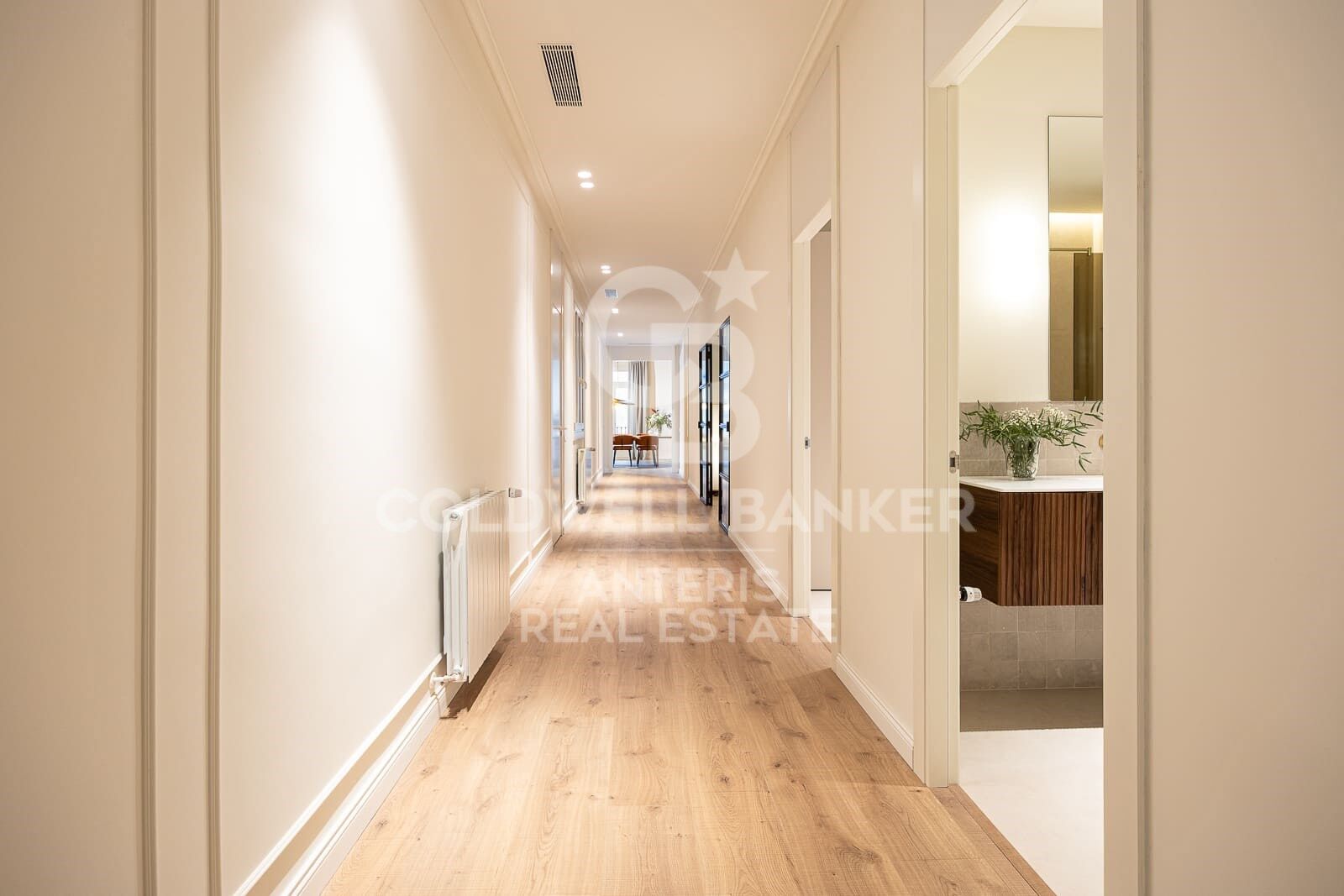 Spacious apartment with exclusive renovation in the city center