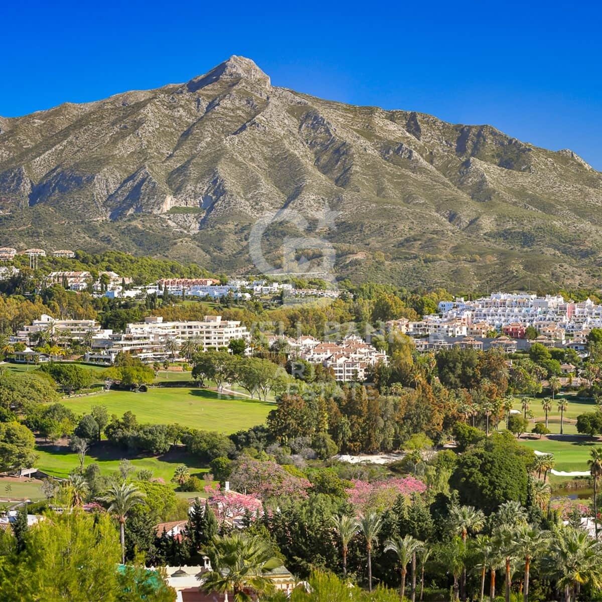 Local commercial à vendre à Guadalmina Alta, Marbella