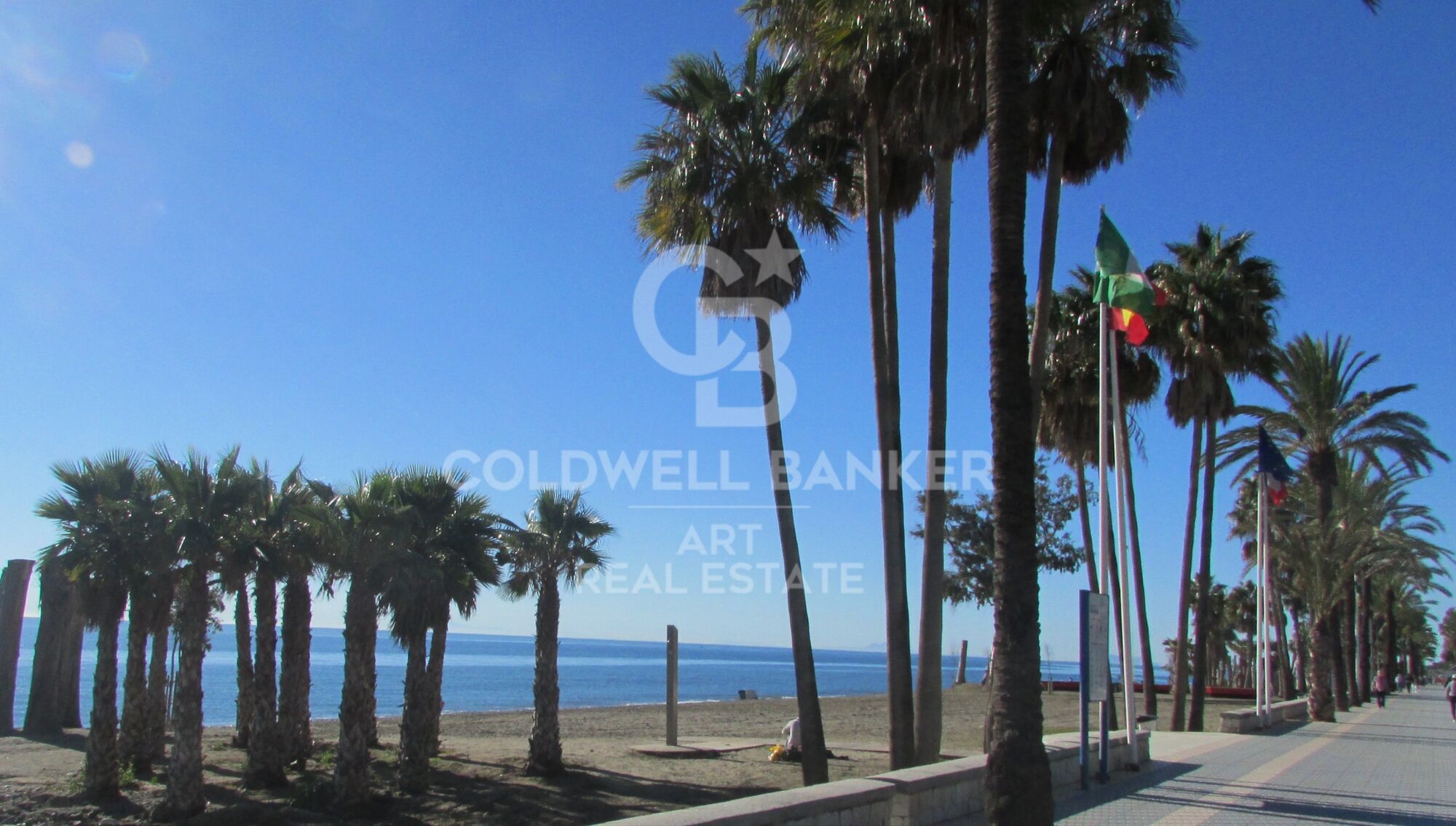 Local commercial à vendre à Guadalmina Alta, Marbella