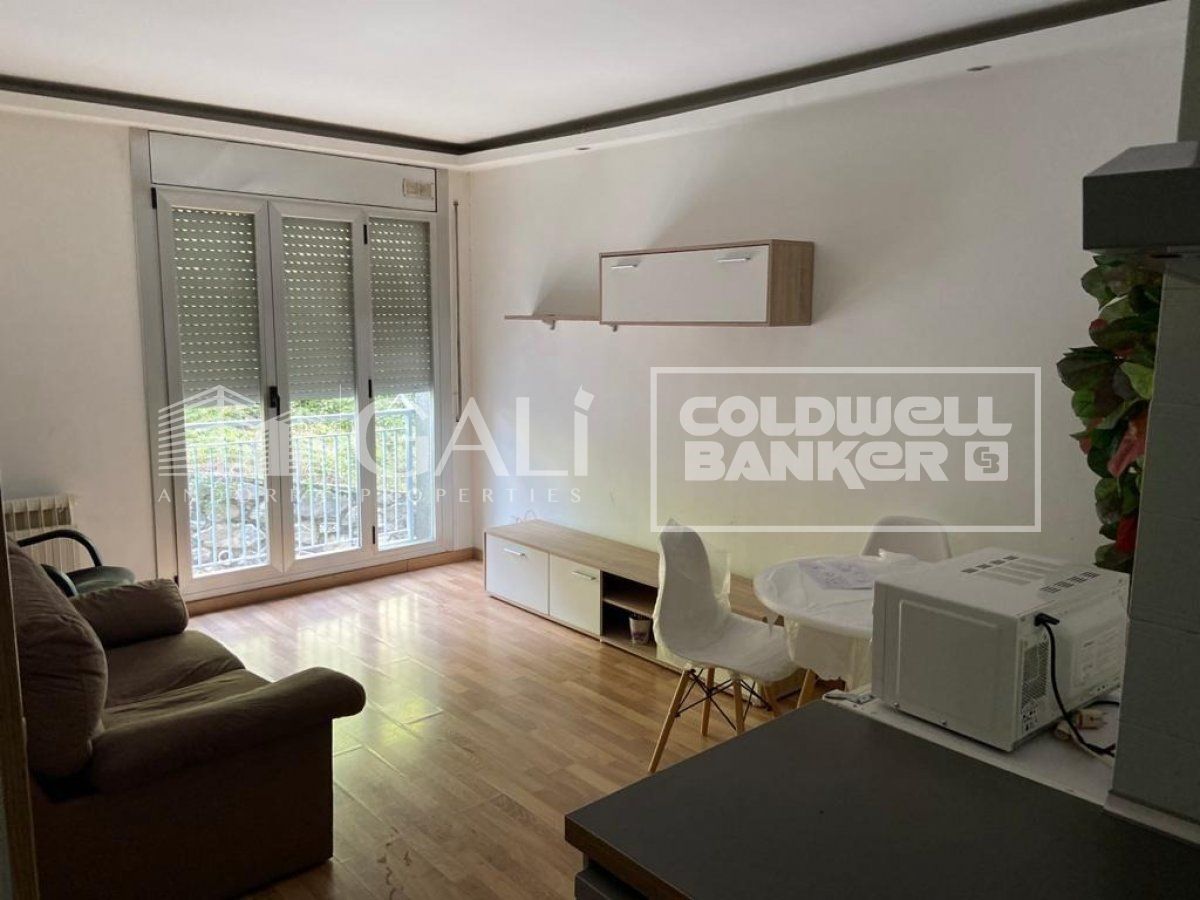 Apartment 1 Bedroom Rent Andorra la Vella