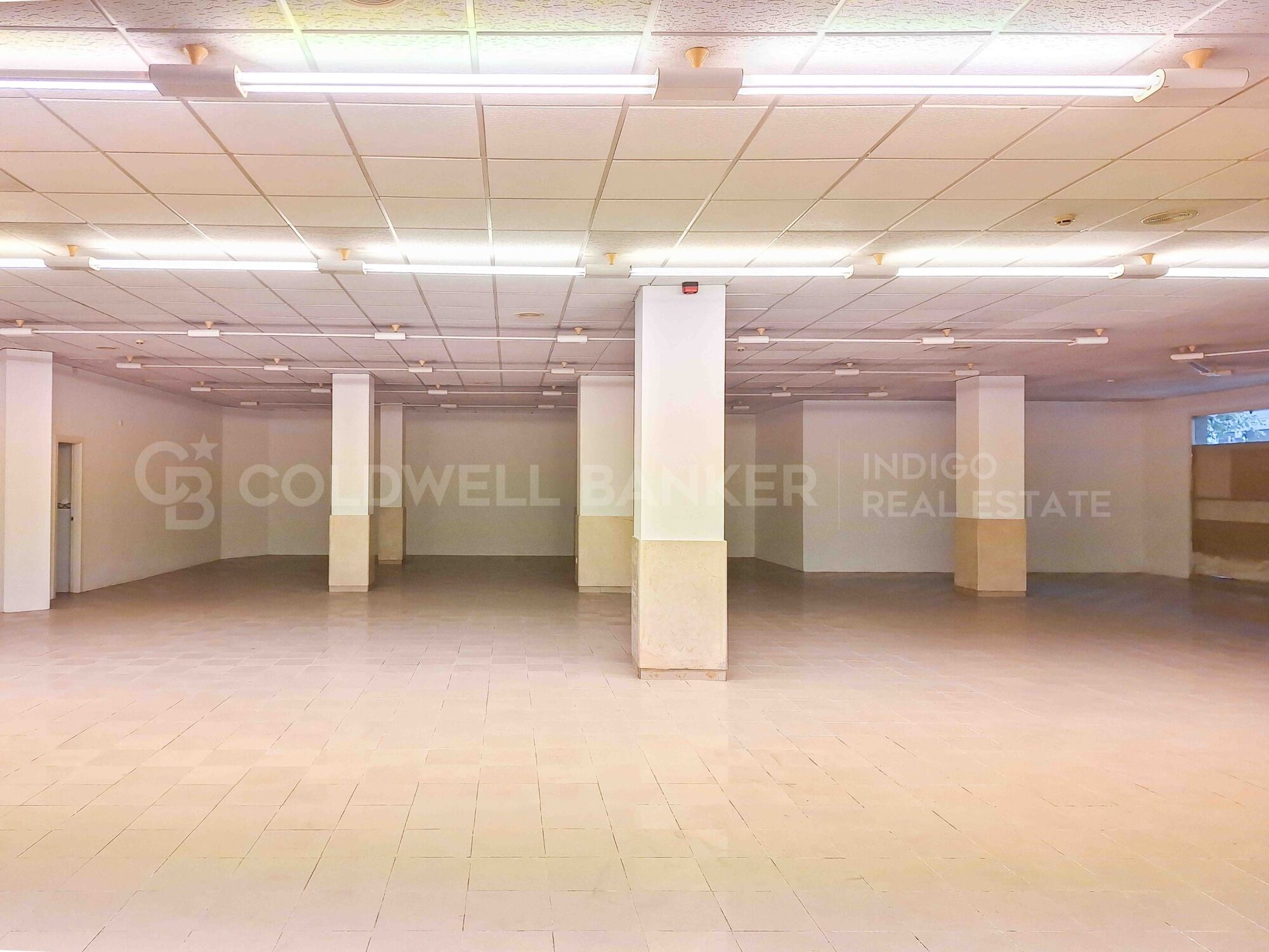 Commercial Rent Pontevedra