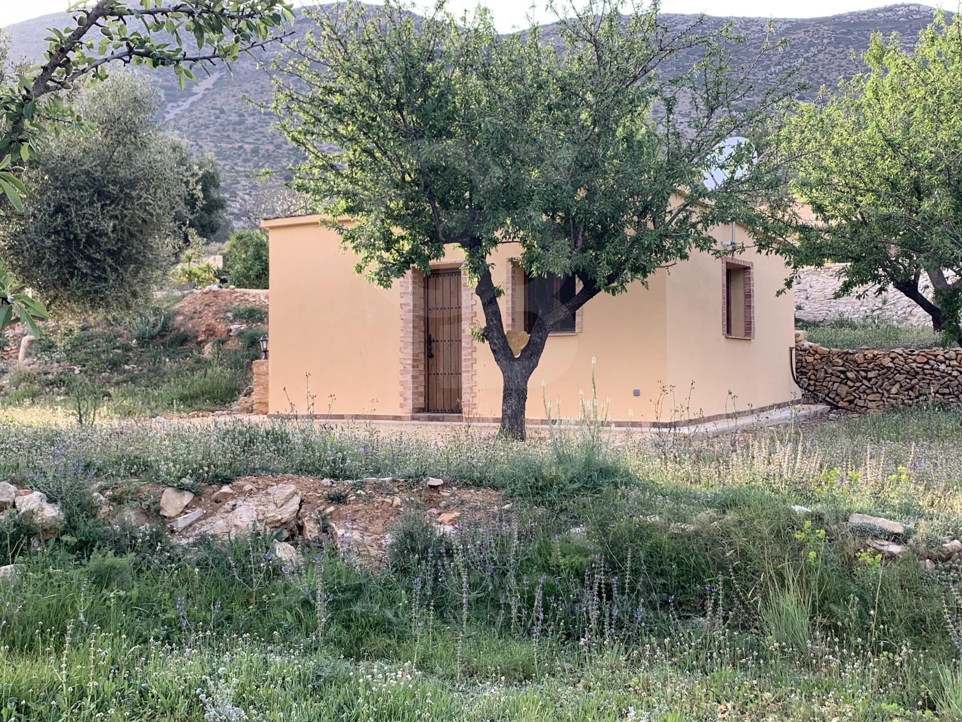 Exclusive historic finca with Mediterranean soul, sea views and tourist potential in Benissa