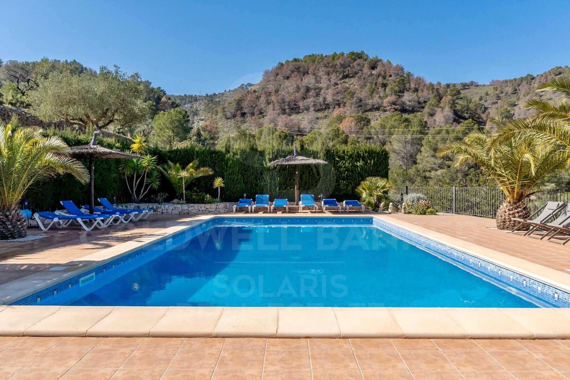 10-Bed Turnkey Rental & Family Estate with Pool, Views and 17,000 m² of Land