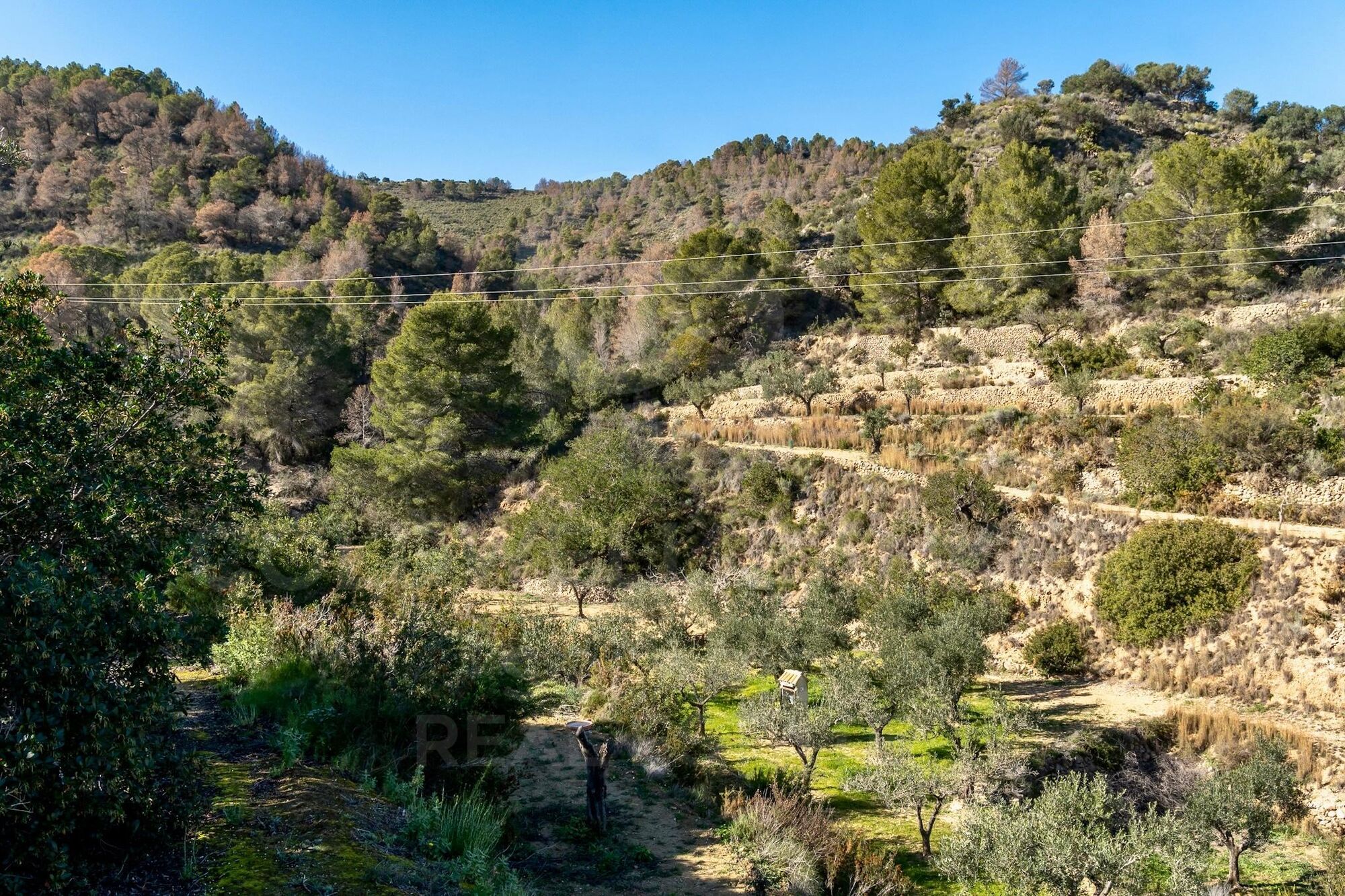 10-Bed Turnkey Rental & Family Estate with Pool, Views and 17,000 m² of Land