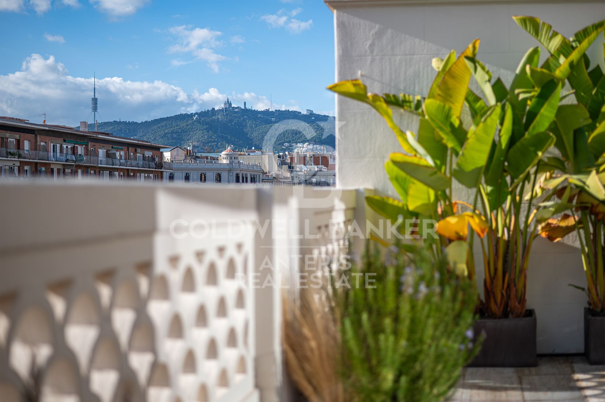 Bright renovated penthouse with terrace and 4 en-suite bedrooms