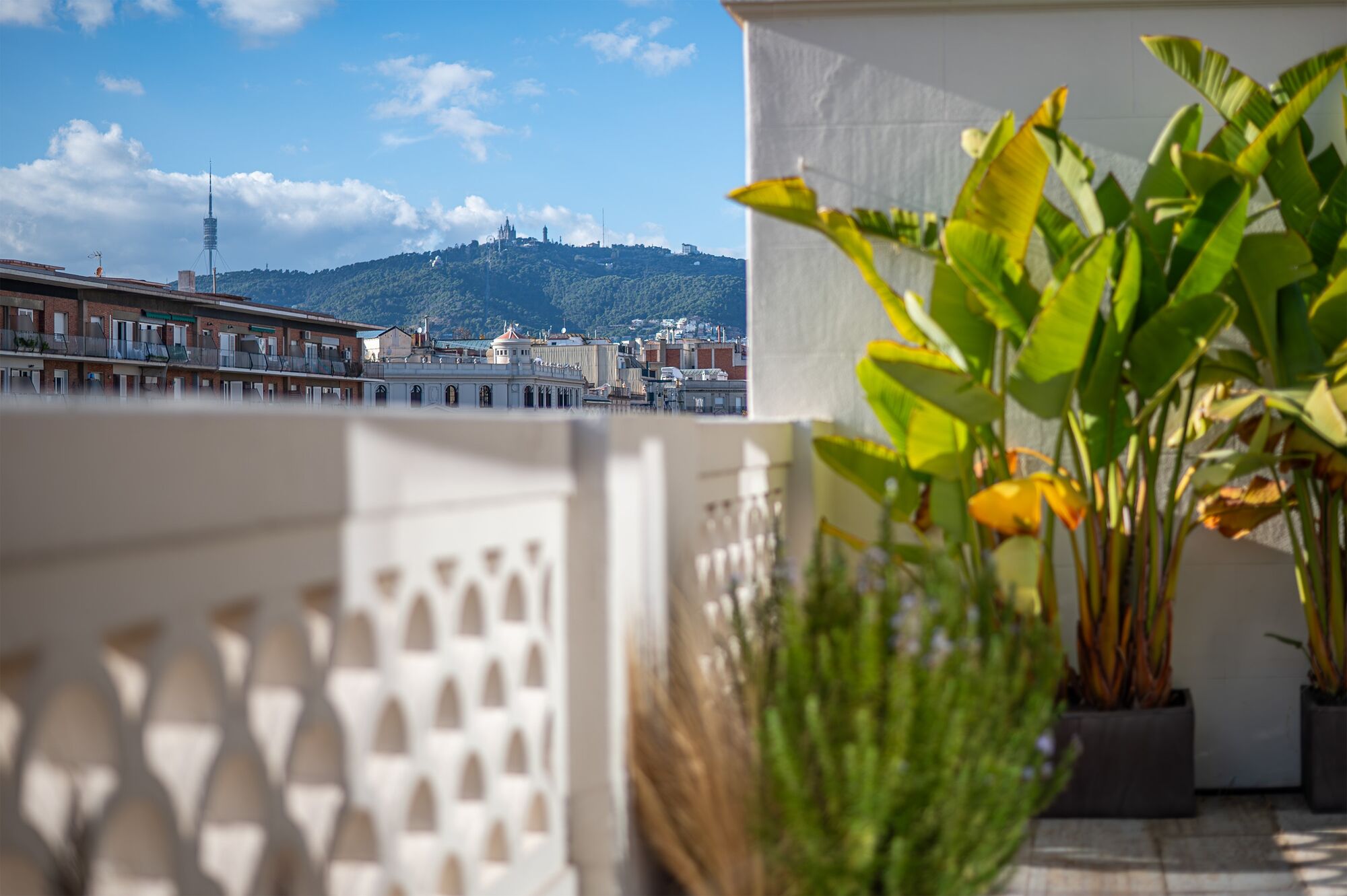 Bright renovated penthouse with terrace and 4 en-suite bedrooms