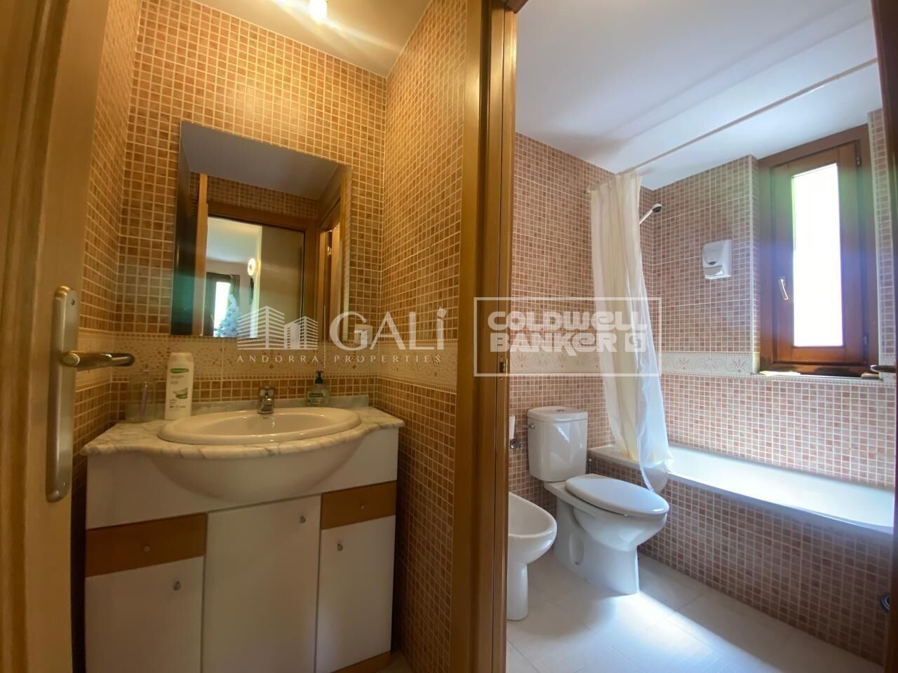 Apartment 2 Bedrooms Sale Canillo