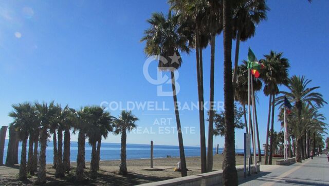 Transfer of a Fully Equipped Bodywork and Paint Business in Nueva Andalucía