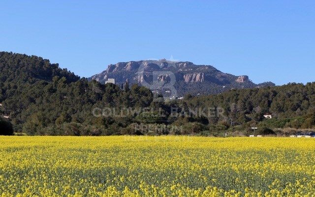 Großes Baugrundstück in Pla de Sant Llorenç: Bauen Sie Ihr Traumhaus!
