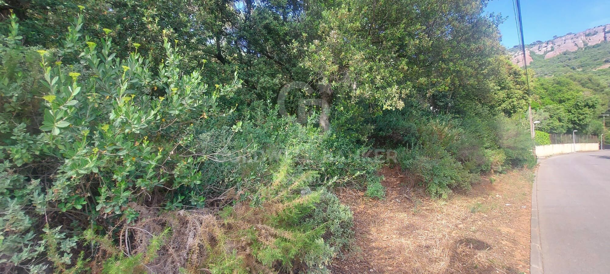 Terrain à Can Robert