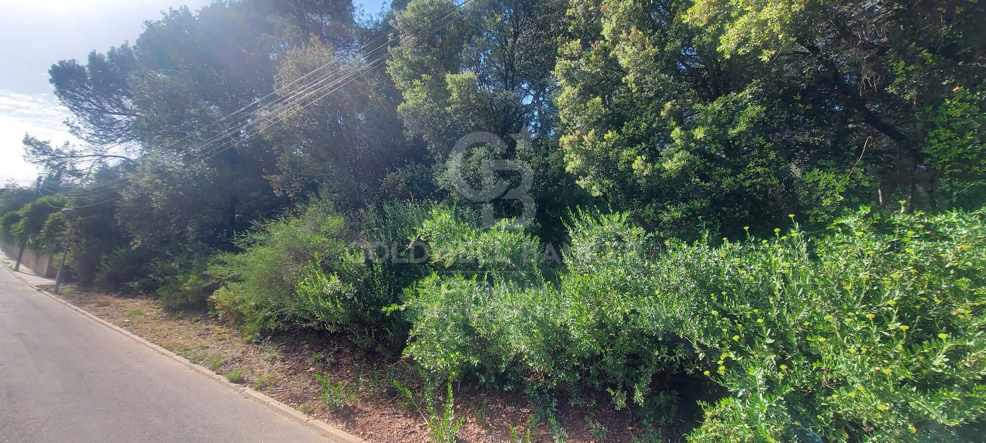 Terrain à Can Robert