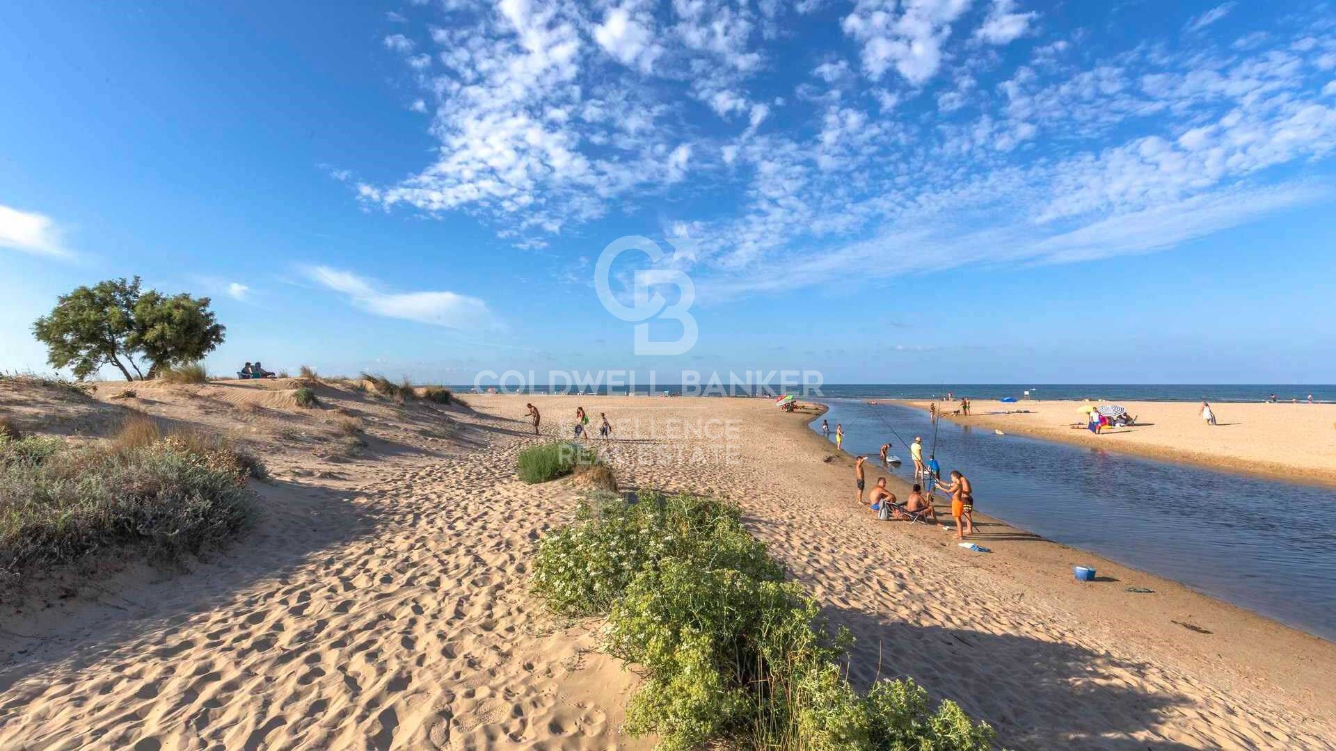 Villa exclusive avec piscine à 50 mètres de la mer à Playa Terranova, Oliva