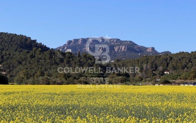 Large plot of land in Pla de Sant Llorenç: Build your ideal home!