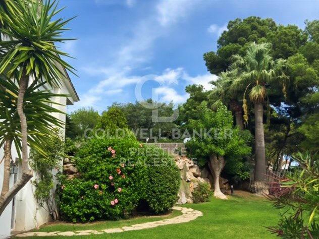 Luxury villa with 6 suites and garden in Bellamar