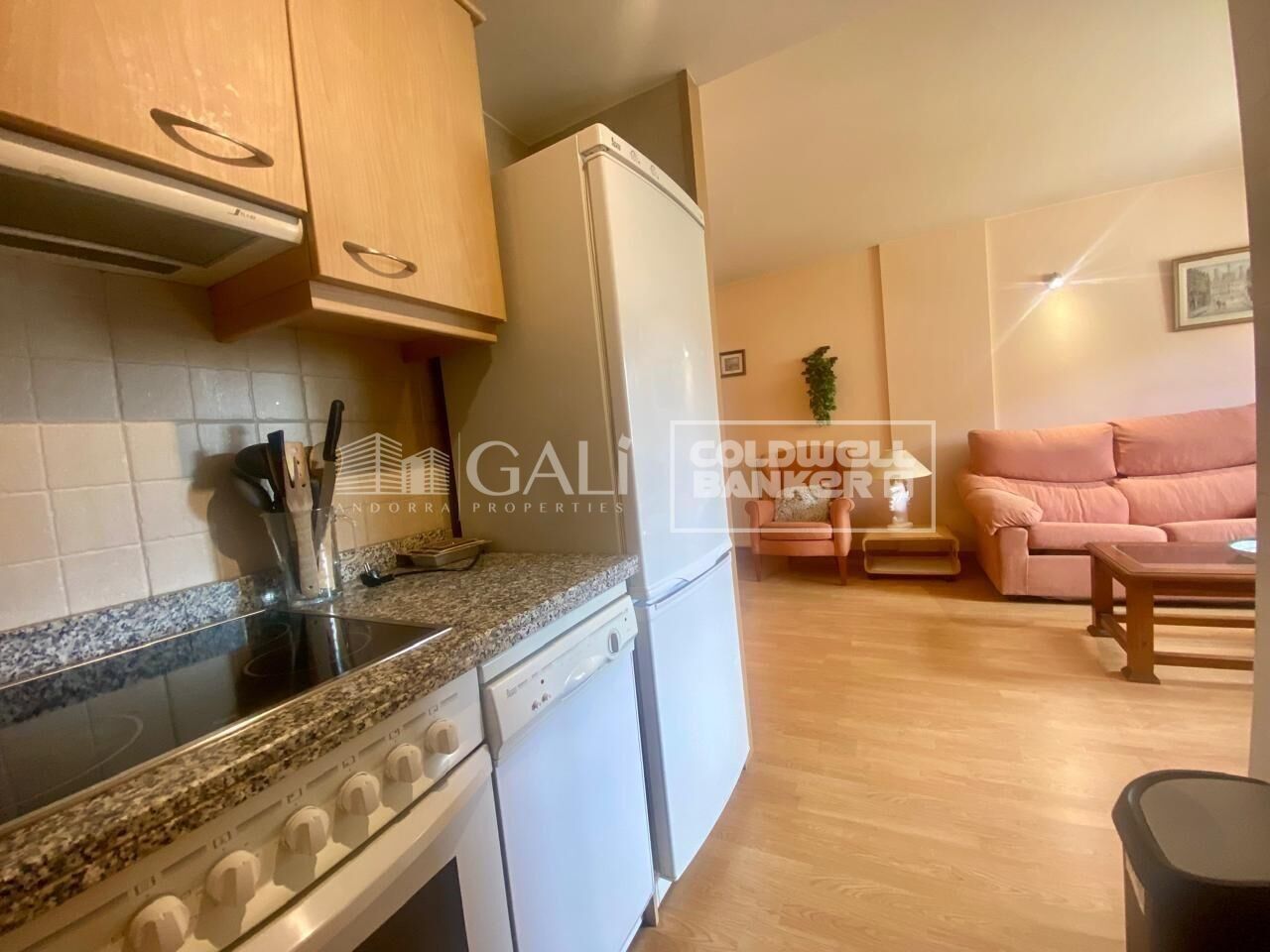 Apartamento 2 habitaciones Alquiler Canillo