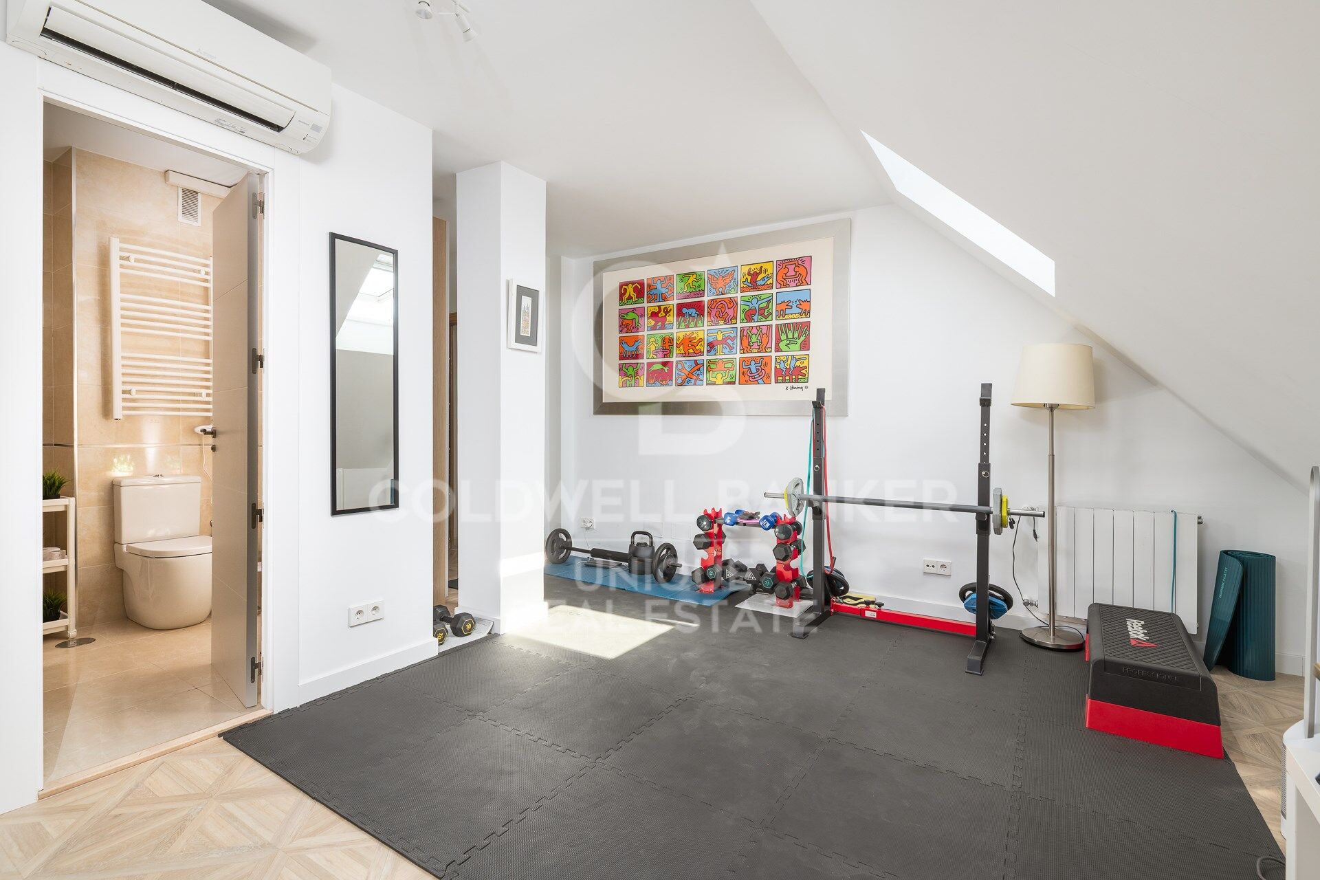 Spectacular refurbished duplex in Ciudad Lineal, Madrid