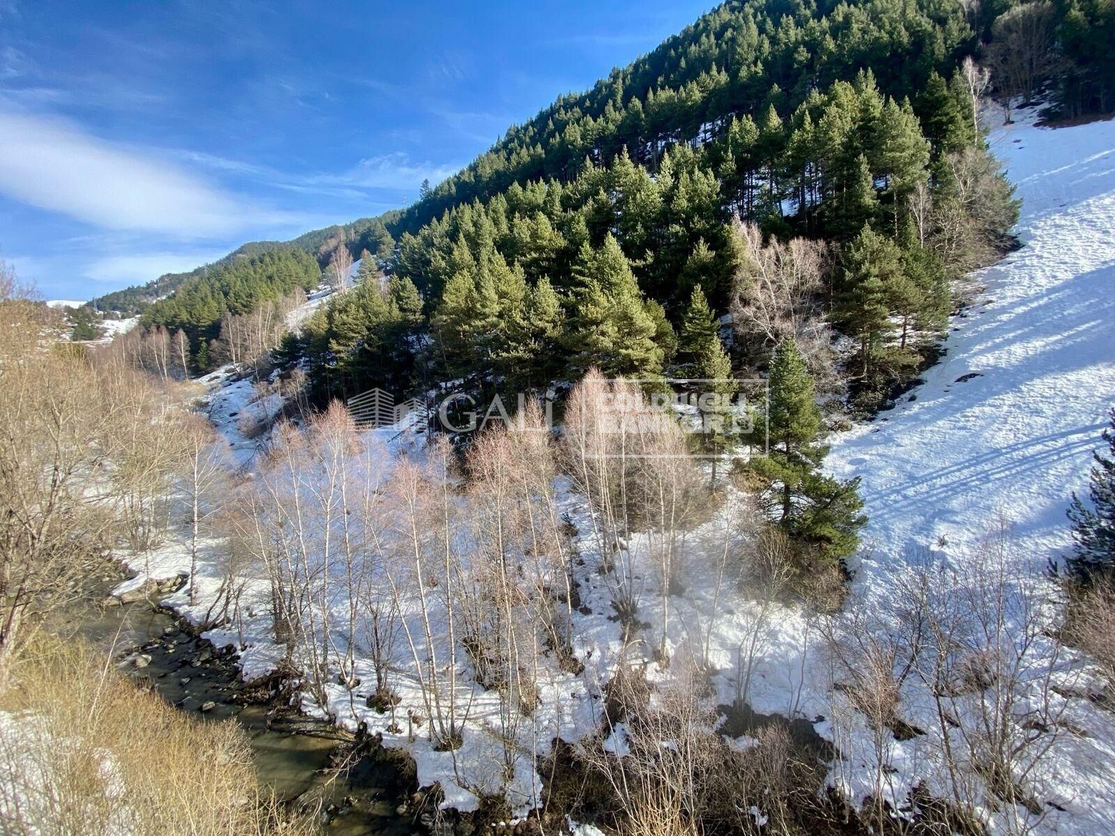 Ático 2 habitaciones Venta Canillo