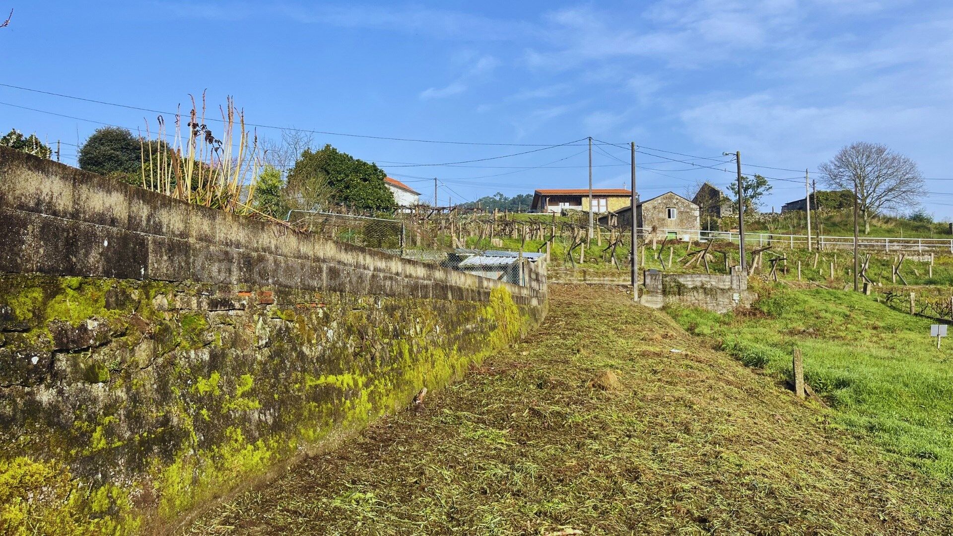 Arquitectura y Privacidad en Mos: Proyecto con Licencia y Doble Acceso