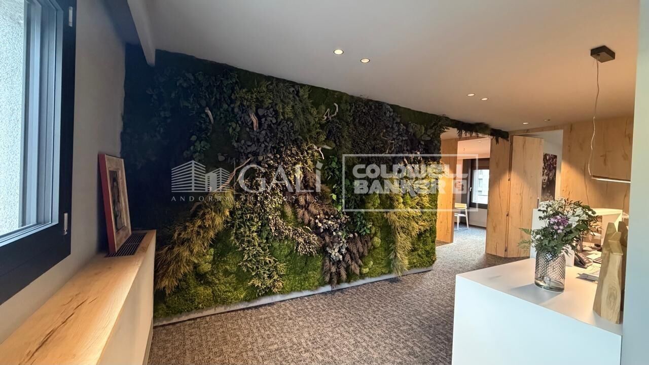 Office / Practice Rent Andorra la Vella