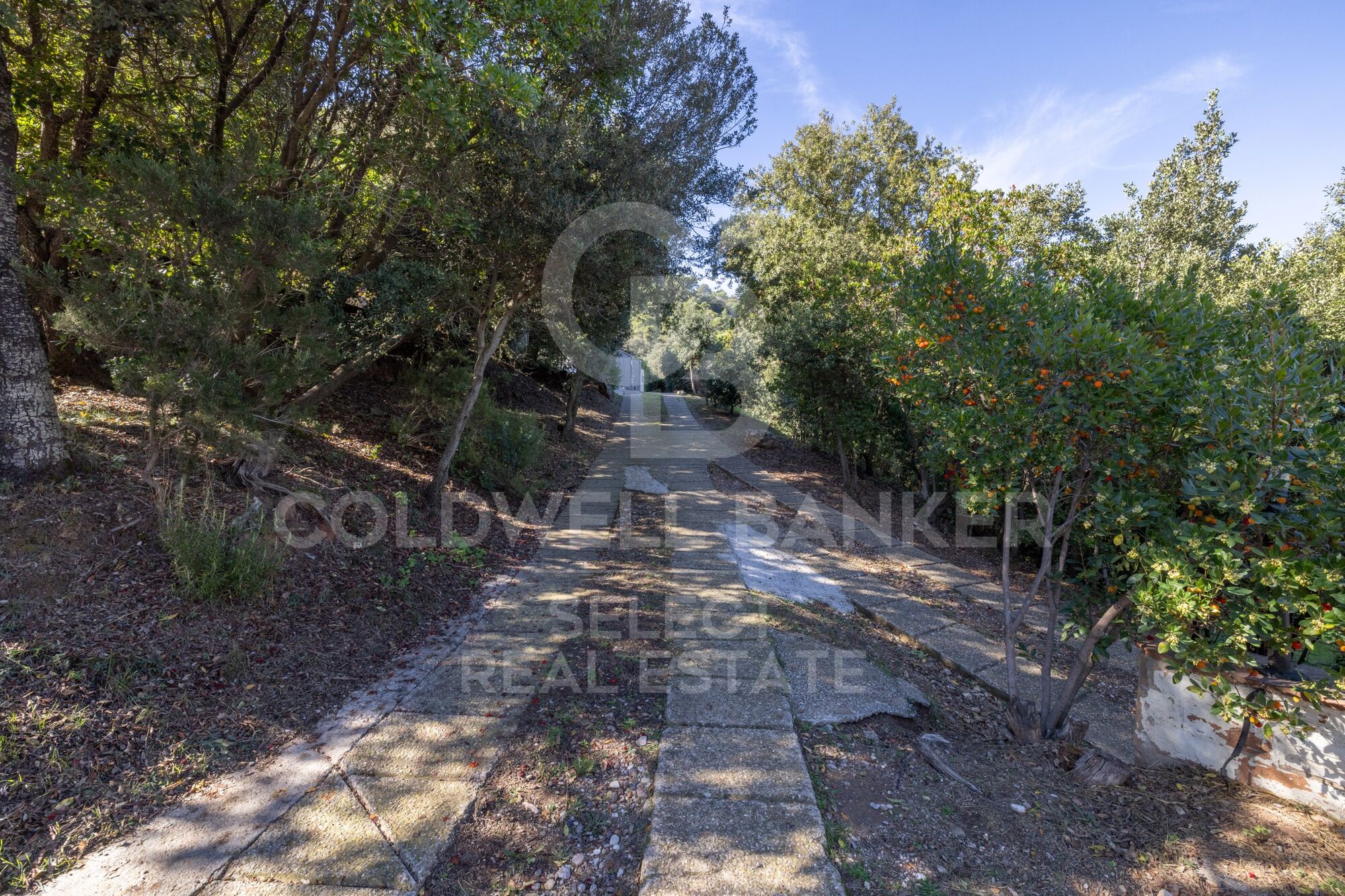 Exclusive house in Les Pedritxes