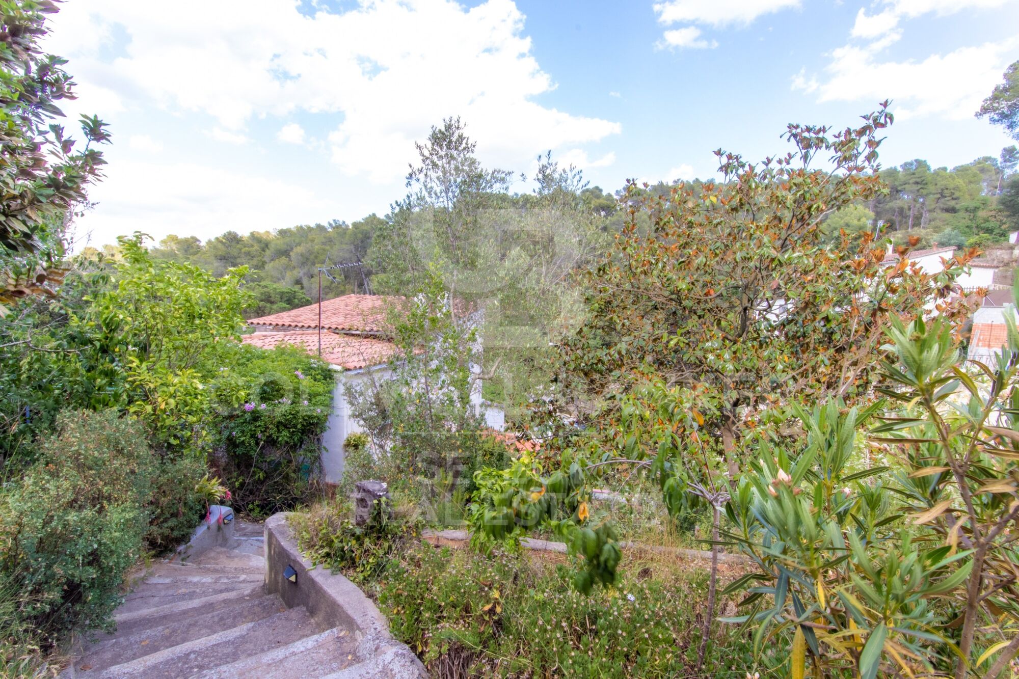 Charming house for two families