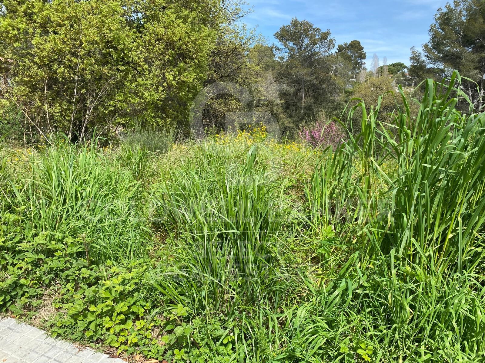 Precioso solar muy cerca de la estación en la zona centro de Bellaterra