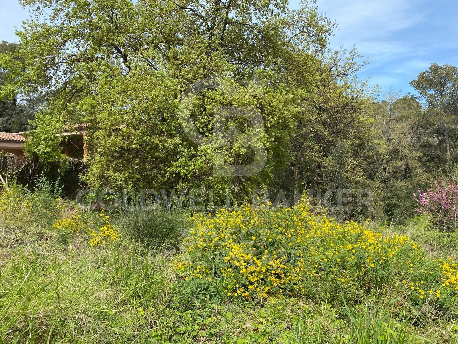 BEAUTIFUL PLOT VERY CLOSE TO THE STATION IN THE CENTER OF BELLATERRA