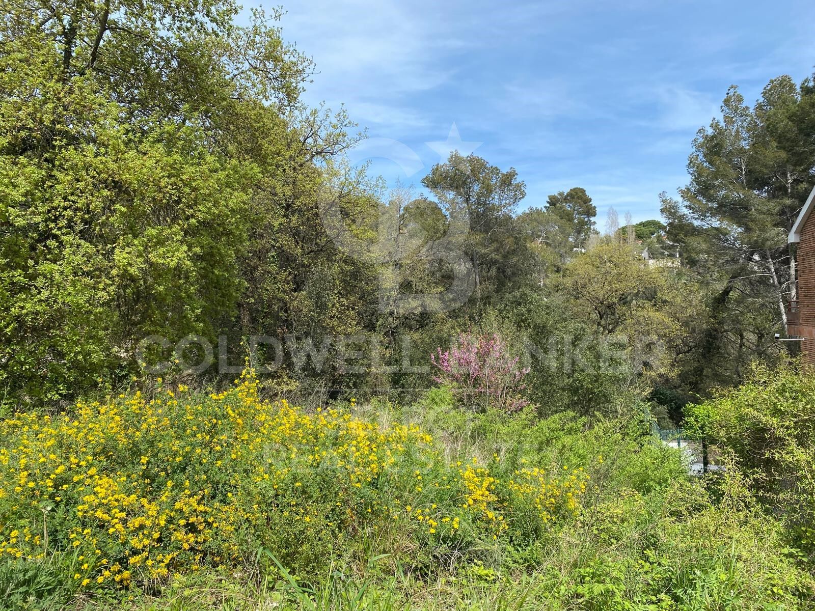BEAUTIFUL PLOT VERY CLOSE TO THE STATION IN THE CENTER OF BELLATERRA