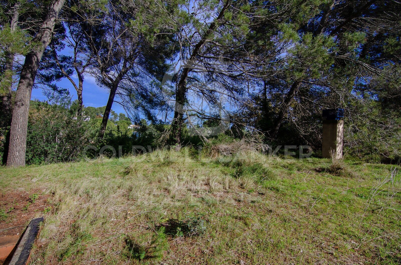 SPECTACULAR AND UNIQUE, A PLOT IN BELLATERRA