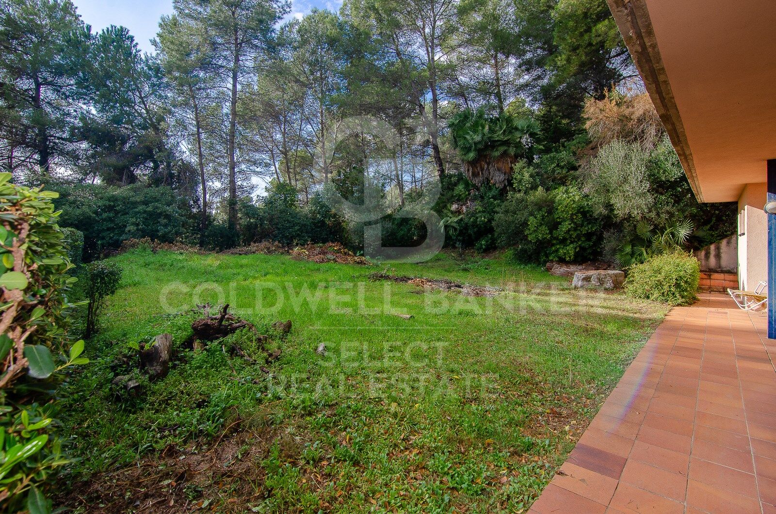 SPECTACULAR AND UNIQUE, A PLOT IN BELLATERRA