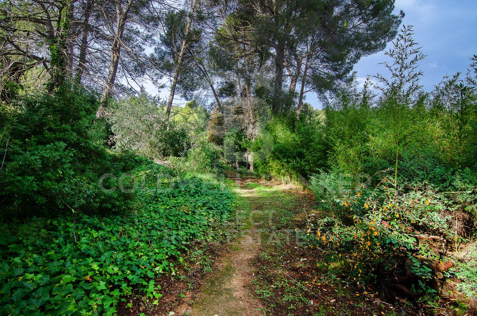 SPECTACULAR AND UNIQUE, A PLOT IN BELLATERRA