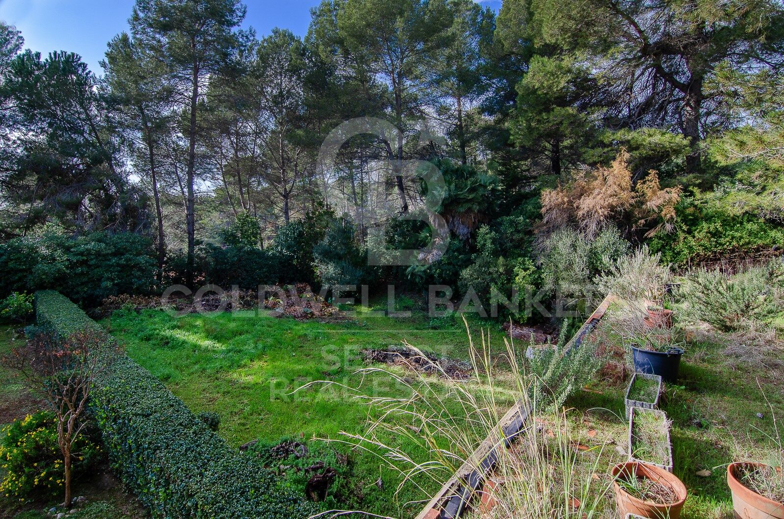 SPECTACULAR AND UNIQUE, A PLOT IN BELLATERRA