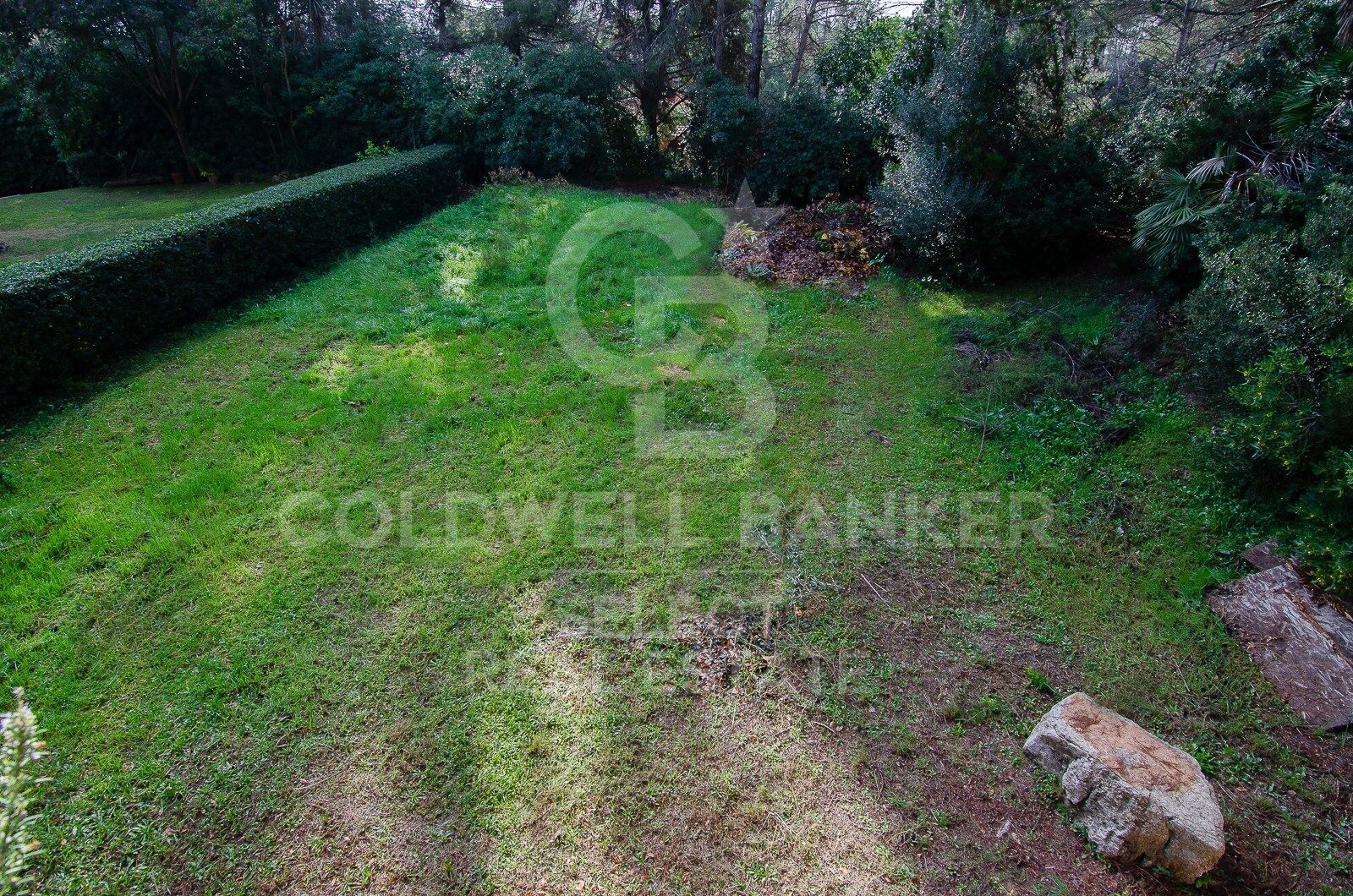 SPECTACULAR AND UNIQUE, A PLOT IN BELLATERRA