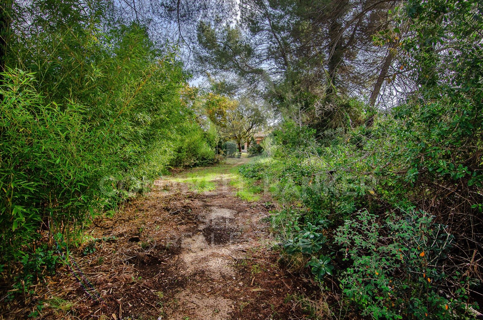 SPECTACULAR AND UNIQUE, A PLOT IN BELLATERRA