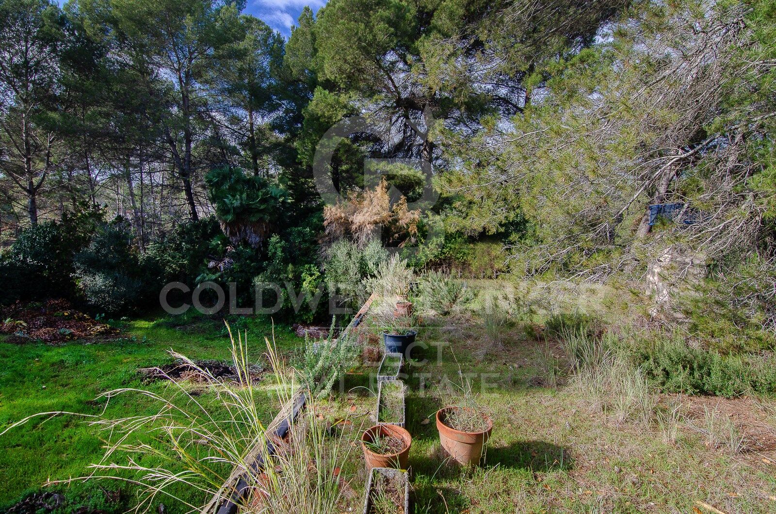 SPECTACULAR AND UNIQUE, A PLOT IN BELLATERRA