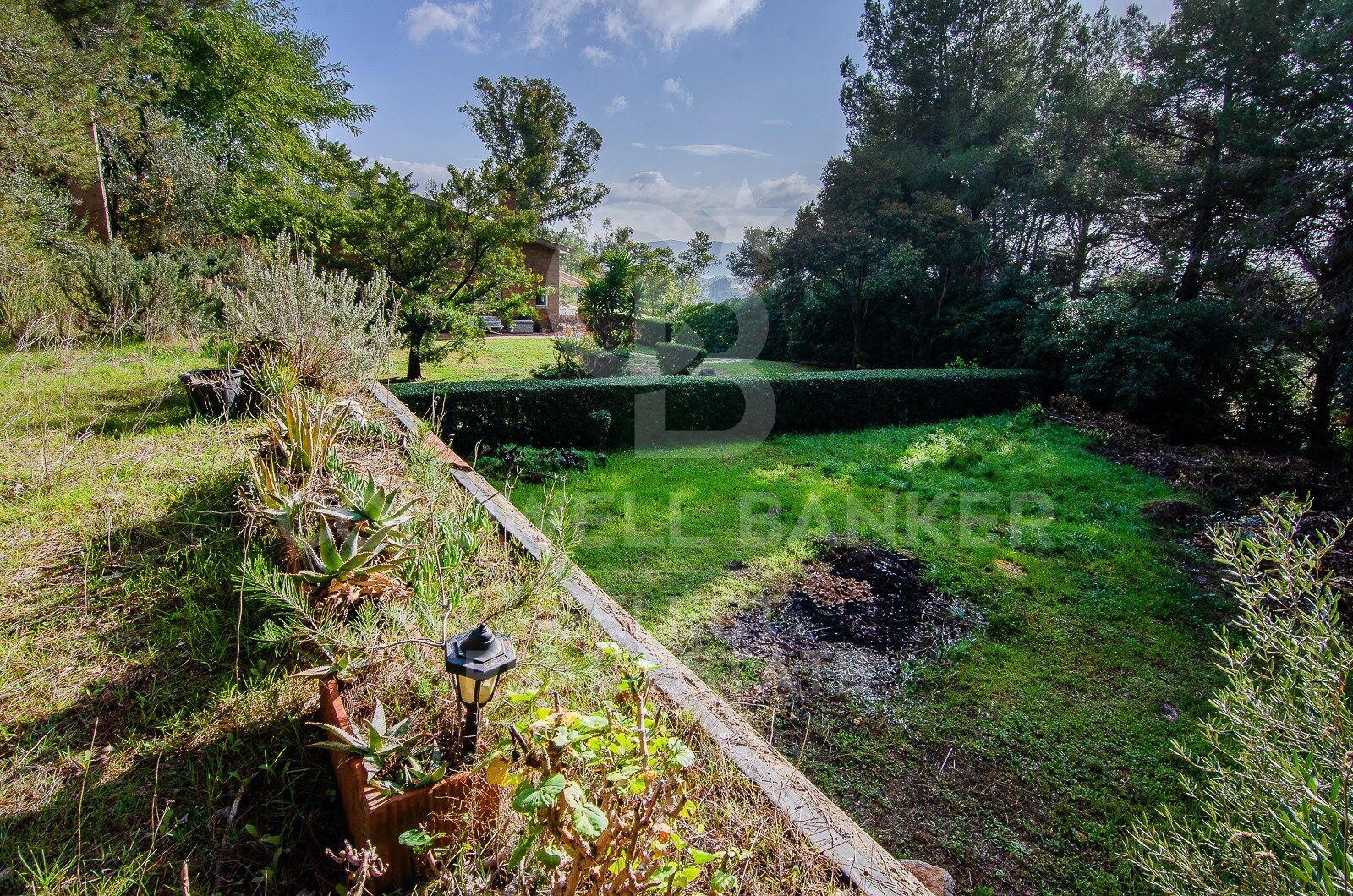 SPECTACULAR AND UNIQUE, A PLOT IN BELLATERRA