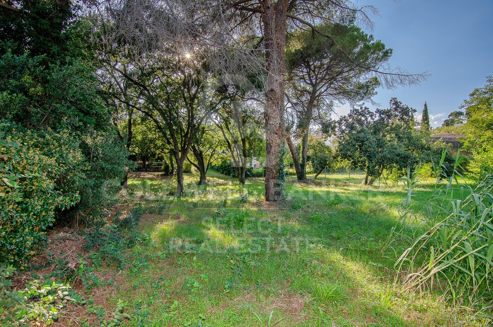 PIEZA ÚNICA, MAGNÍFICO SOLAR PLANO AL LADO DE LA ESTACIÓN DE BELLATERRA