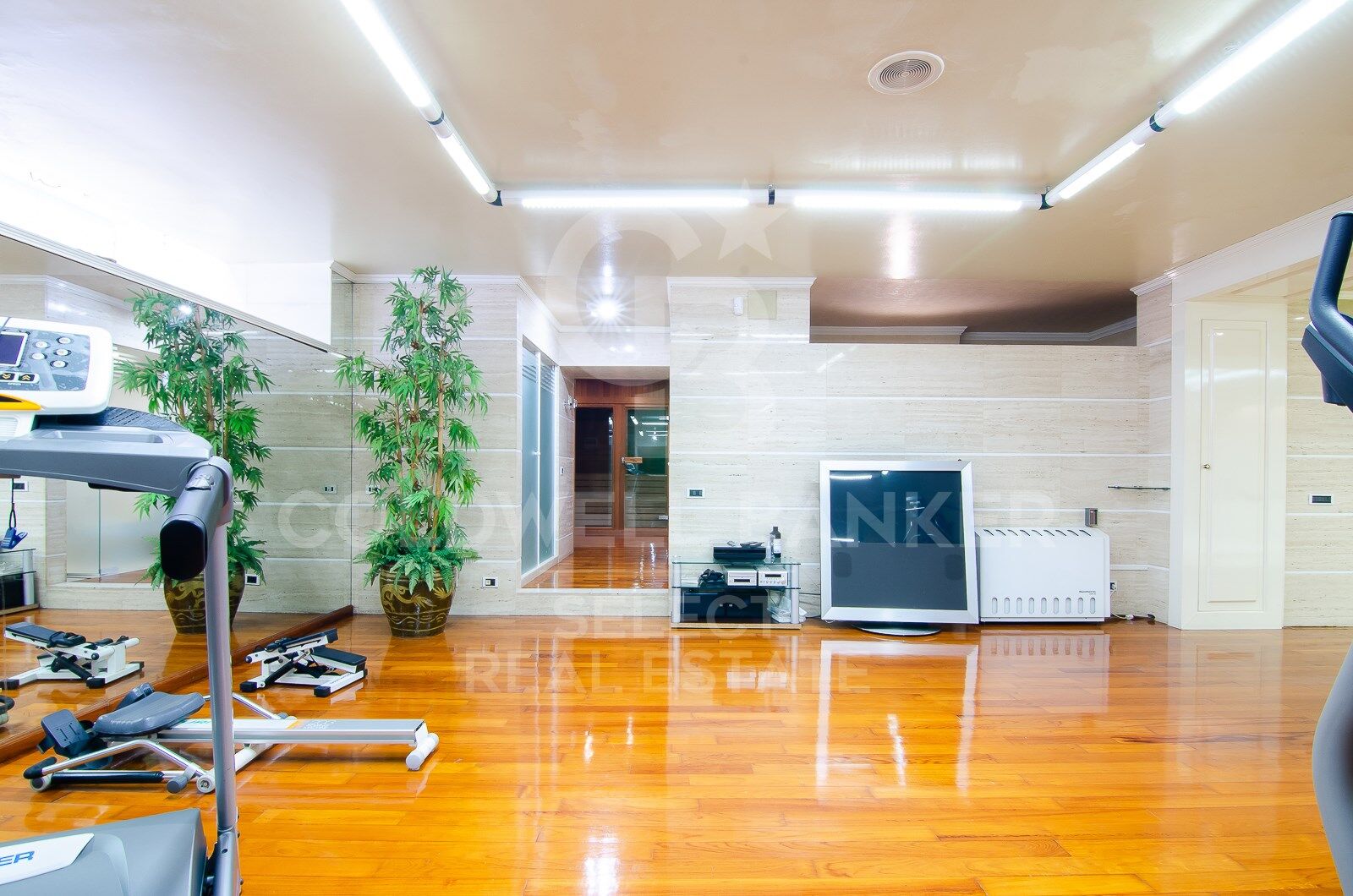 MAGNIFICENT AND STATELY IN BELLATERRA