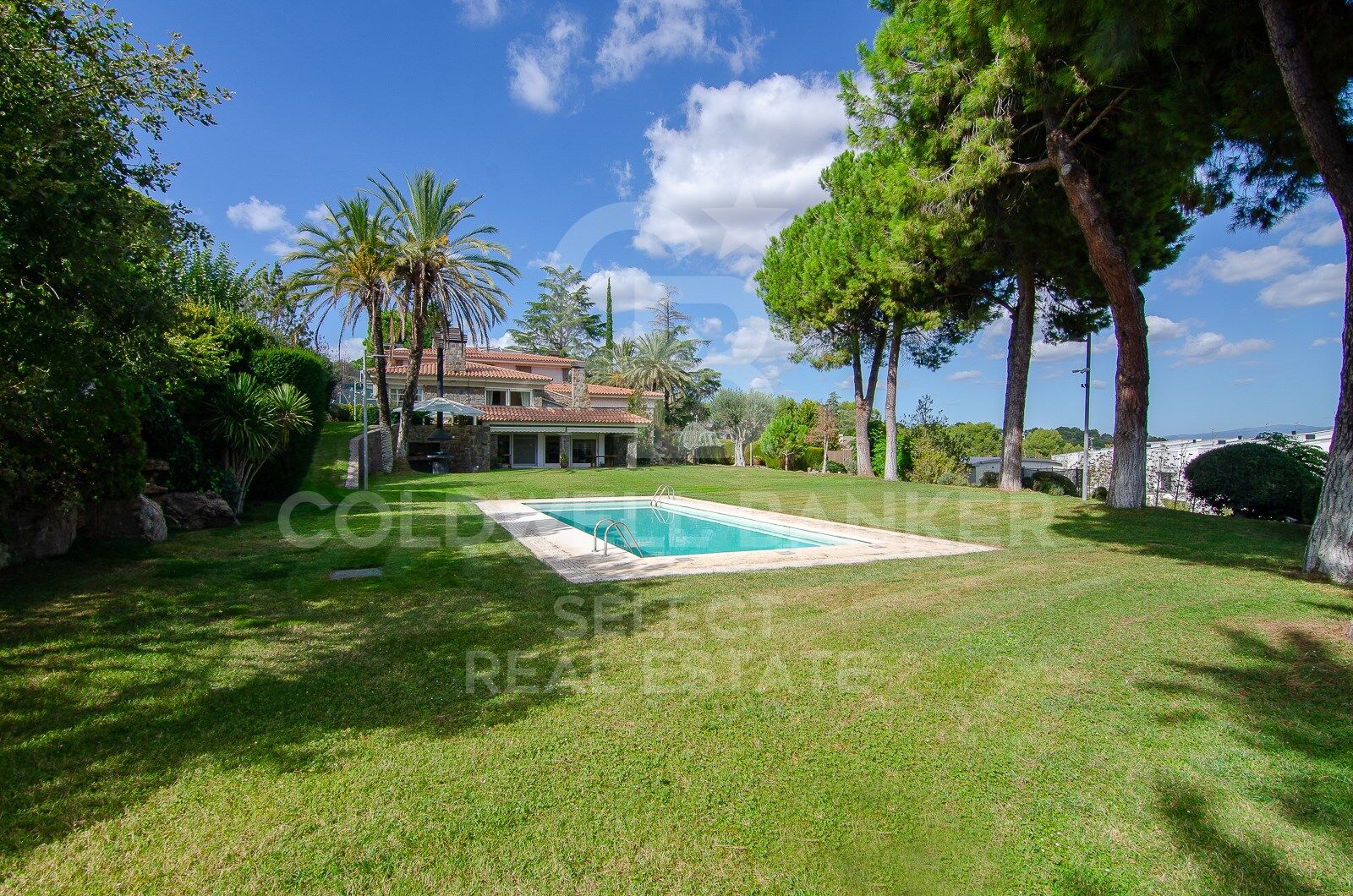 MAGNIFICENT AND STATELY IN BELLATERRA