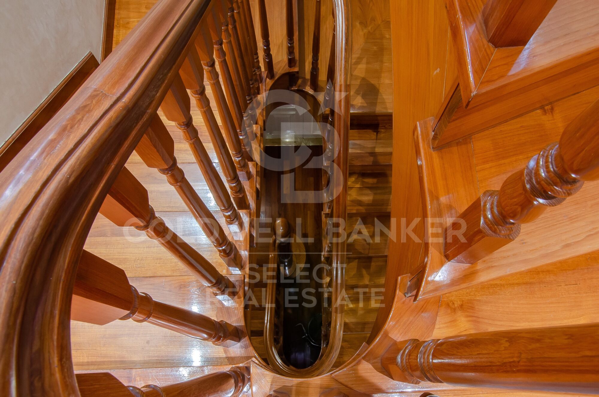 MAGNIFICENT AND STATELY IN BELLATERRA