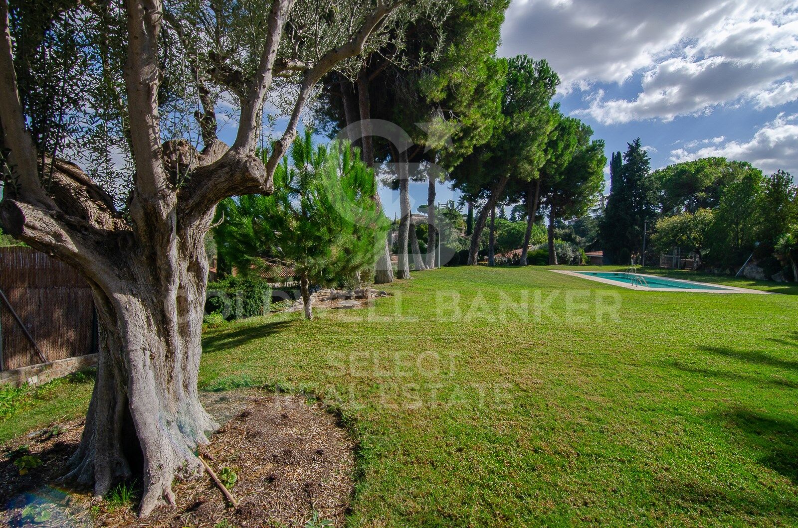 MAGNIFICENT AND STATELY IN BELLATERRA