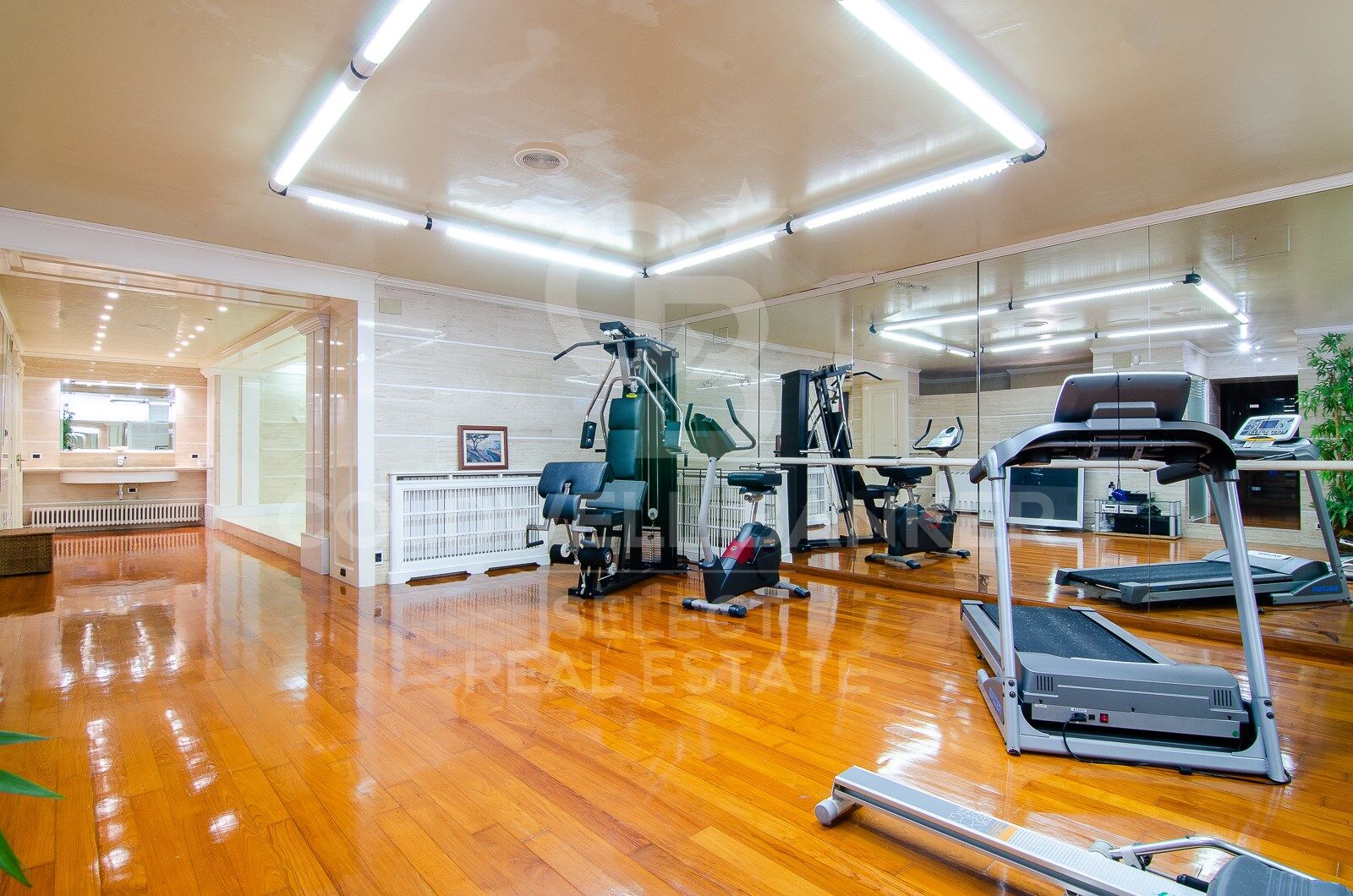 MAGNIFICENT AND STATELY IN BELLATERRA