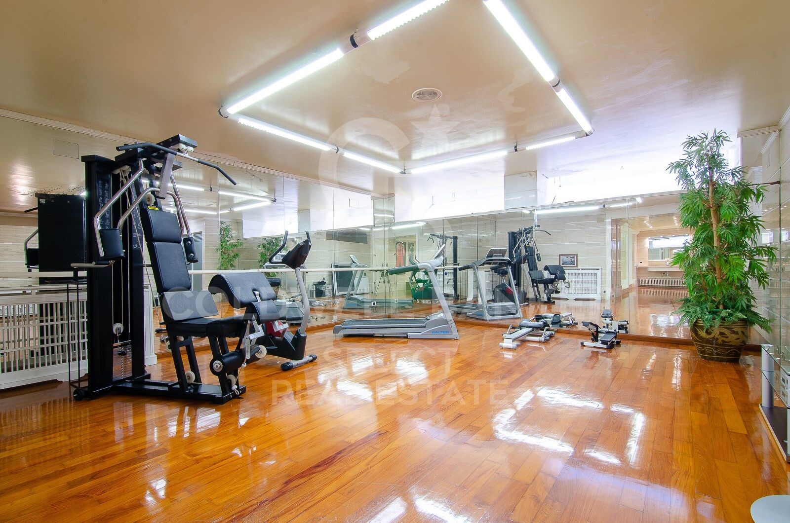 MAGNIFICENT AND STATELY IN BELLATERRA