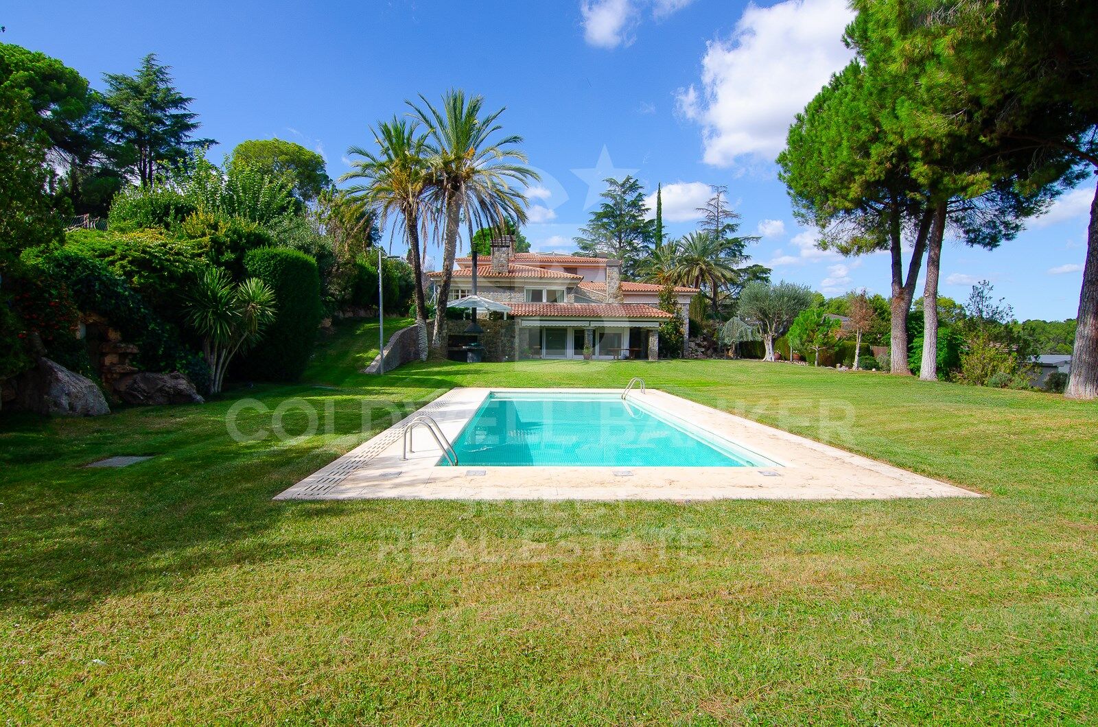 MAGNIFICENT AND STATELY IN BELLATERRA