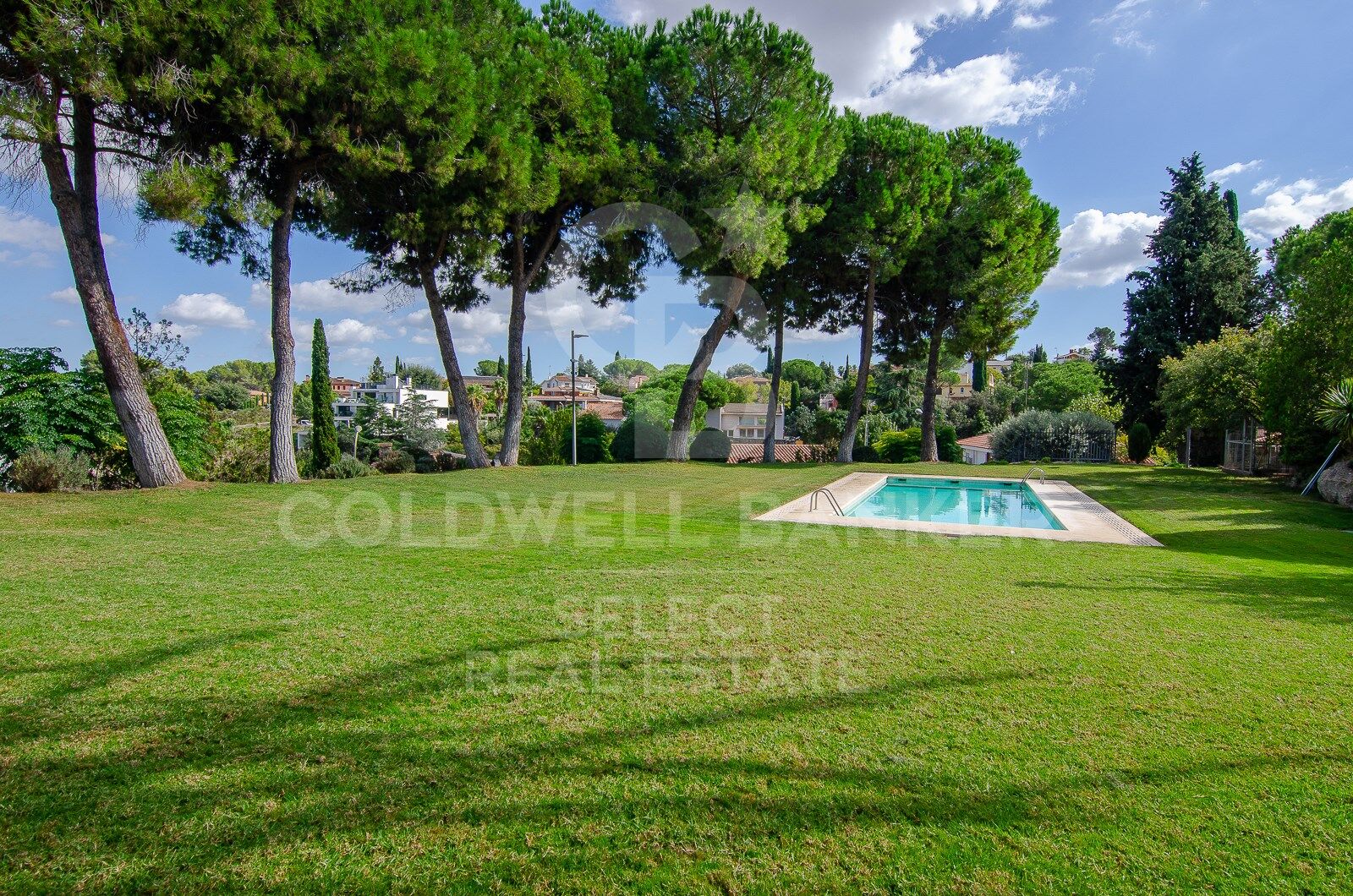 MAGNIFICENT AND STATELY IN BELLATERRA