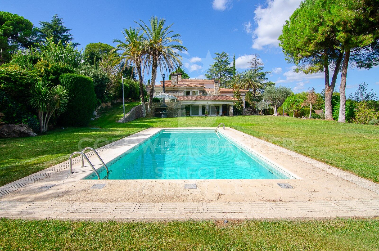 MAGNIFICENT AND STATELY IN BELLATERRA