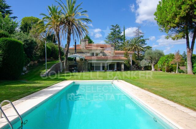 MAGNIFICENT AND STATELY IN BELLATERRA