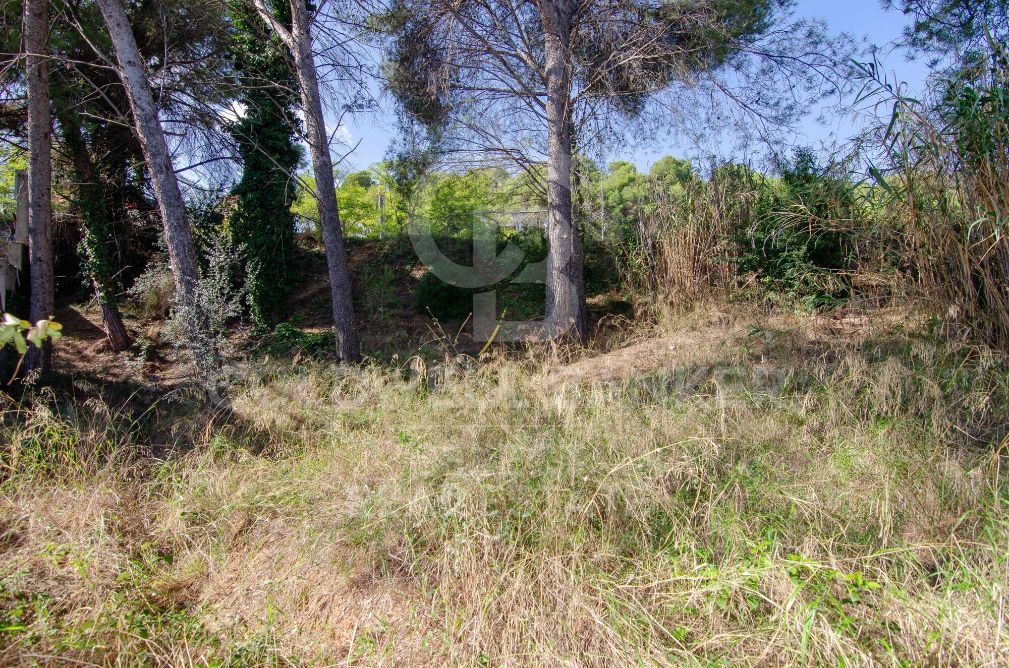 Plot with a brilliant and impeccable project and building permit