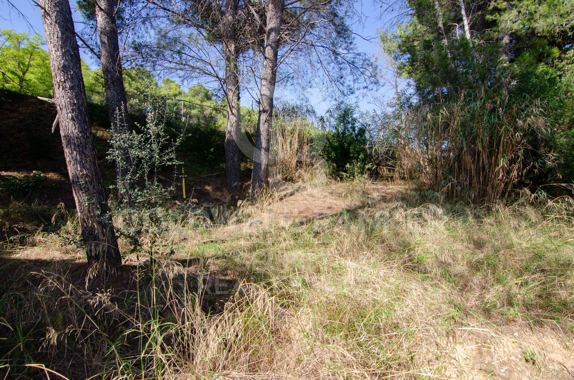 Plot with a brilliant and impeccable project and building permit