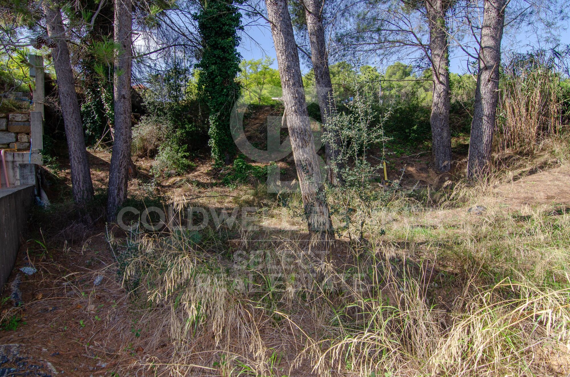 Plot with a brilliant and impeccable project and building permit